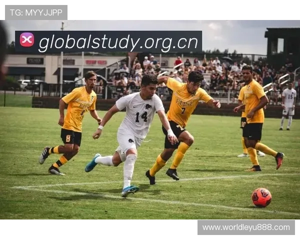 乐鱼体育app官网登录入口为您提供便捷快速的体育赛事观看体验 乐鱼体育app官网登录入口为您提供便捷快速的体育赛事观看体验