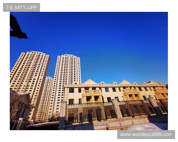 乐投国际官网:乐投国际平台的合法性与监管情况深度分析 乐投国际官网:乐投国际平台的合法性与监管情况深度分析