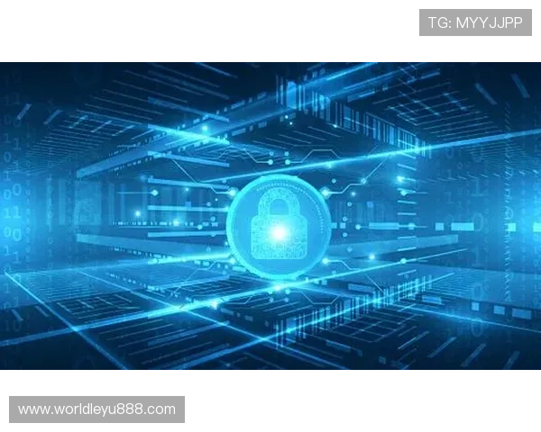 乐鱼官网app安全平台如何确保每位用户在使用过程中的交易安全和隐私保护