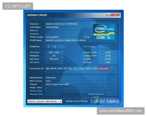 乐鱼平台网站官网,详尽解析平台特色和用户体验提升方法