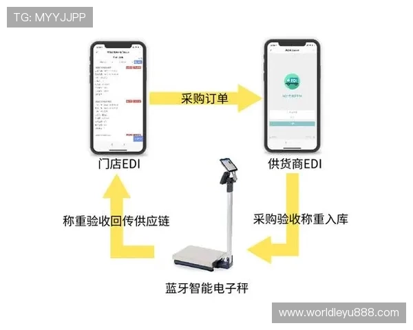 乐鱼电子供应链管理模式优化带来的成本与效率提升