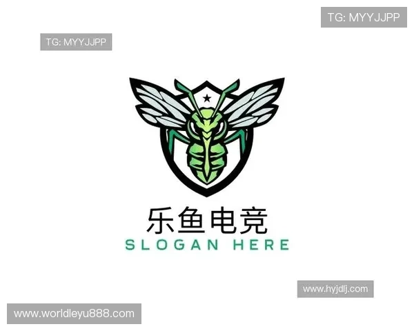 乐鱼电竞官网采用先进的技术保障玩家信息安全，营造安全可靠的电竞娱乐平台环境