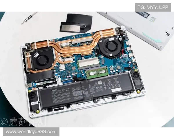 乐鱼电脑官网入口安全登录方法及常见故障排查指南保障用户顺畅游戏体验