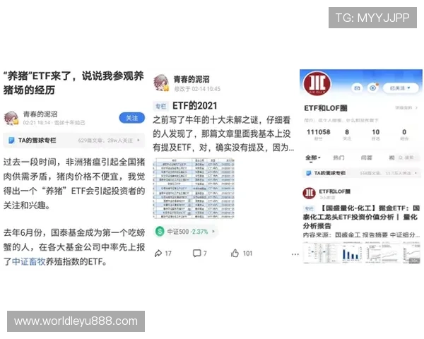 网投娱乐网址的安全保障措施详解，确保玩家资金和个人信息的双重安全